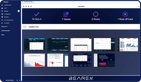 Bearex Insights Hub Visual For Connecting All Data Sources